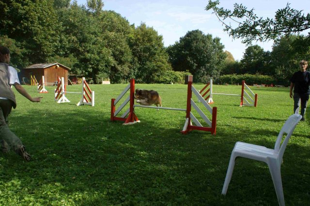 agility 2011-08